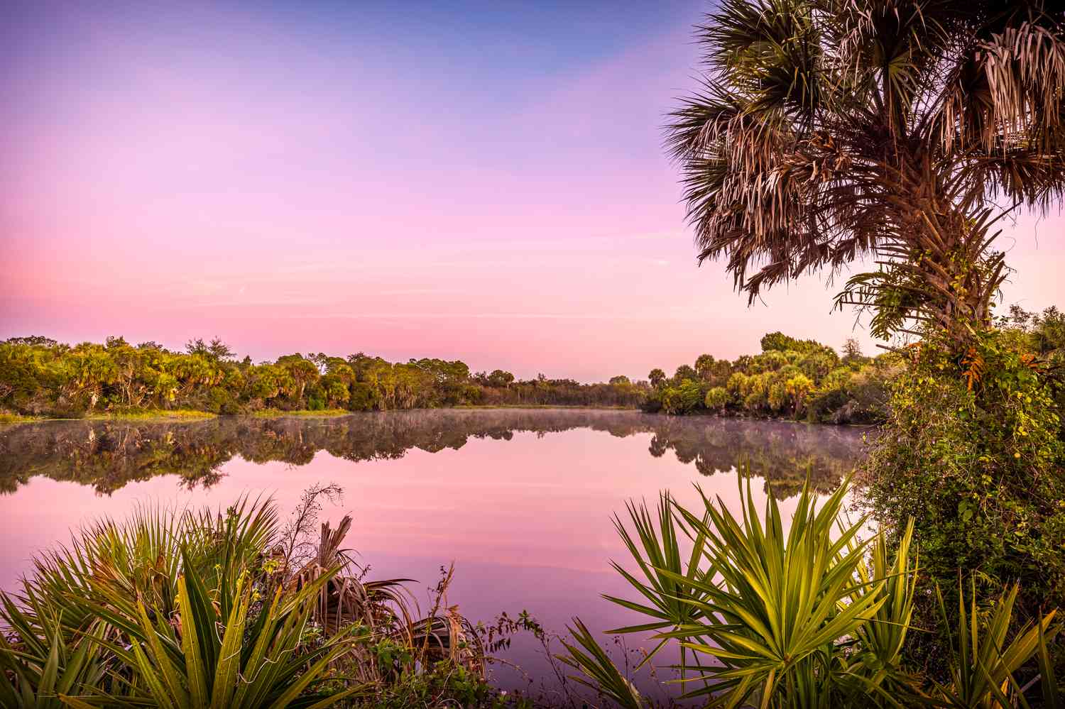 North Point, FL